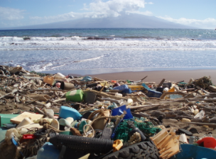 How Can We Reduce Marine Waste?